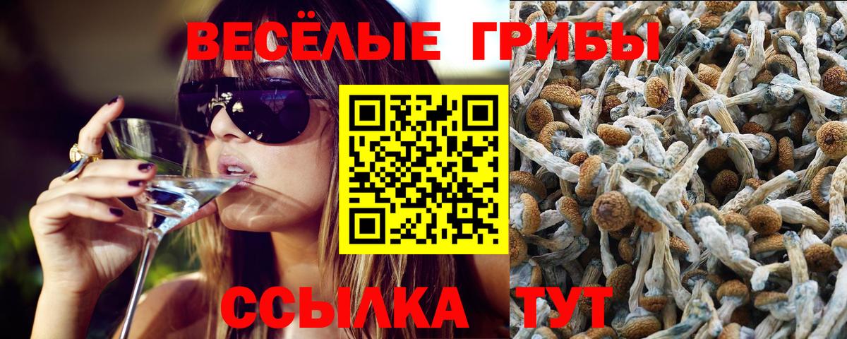 Галлюциногенные грибы GOLDEN TEACHER  Вход с VPN  Стрежевой 